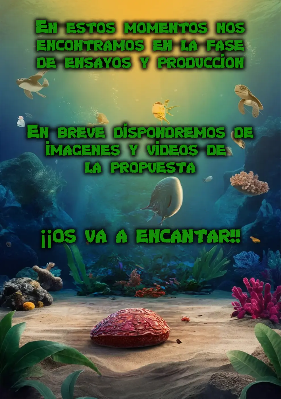 TORTUGAS EN BREVE.jpg
